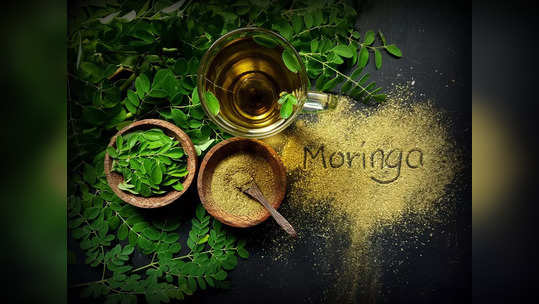 moringa seed oil : முடிக்கும், சருமத்துக்கும் முருங்கை விதை எண்ணெய் தான் பெஸ்ட், தயாரிக்கும் முறை!