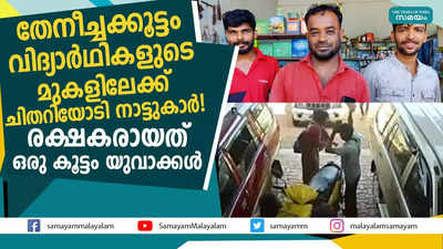 തേനീച്ചക്കൂട്ടം വിദ്യാർഥികളുടെ മുകളിലേക്ക്; ചിതറിയോടി നാട്ടുകാർ! രക്ഷകരായത് ഒരു കൂട്ടം യുവാക്കൾ