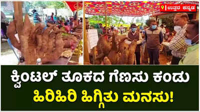 ಜೊಯಿಡಾದಲ್ಲಿ ಗಡ್ಡೆ-ಗೆಣಸು ಮೇಳ: ಗಮನ ಸೆಳೆದ ವಿವಿಧ ಪ್ರಭೇದದ ಗೆಣಸುಗಳು!