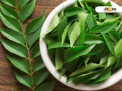 Curry Leaves: রক্তে শর্করা নিয়ন্ত্রণ থেকে চুল পড়া, সব সমস্যায় কামাল করবে কারিপাতা!