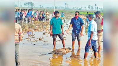 ట్రాక్టర్‌తో తొక్కించి యువకుడి పాశవిక హత్య.. వెలుగులోకి నమ్మలేని నిజాలు