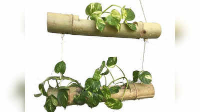 ನಿಮ್ಮ ಮನೆ ಗಾರ್ಡನ್ ಗೆ ಆಕರ್ಷಕ ಲುಕ್ ನೀಡುವ Hanging Planter ಗಳು