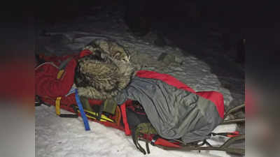 बर्फीले पहाड़ पर मालिक को लगी चोट, 13 घंटों तक डॉग ने ये काम कर बचाई उसकी जान