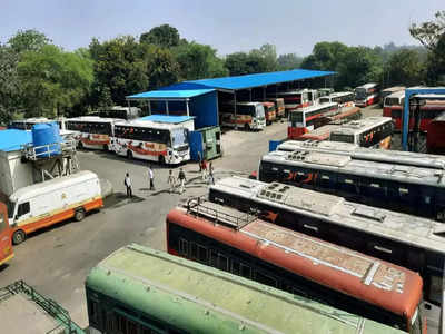 ST Strike Update : अखेर एसटीची चाकं धावली, या जिल्ह्यात १०० फेऱ्या पूर्ण