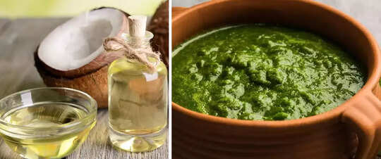 guava leaves for hair, Guava Leaves for Hair Growth: முடி வளர்ச்சியை தூண்டும் கொய்யா இலை, எப்படி யூஸ் பண்ணலாம்? - how to use guava leaves for quick hair growth in tamil - Samayam Tamil guava leaves for hair, Guava Leaves for Hair Growth: முடி வளர்ச்சியை தூண்டும் கொய்யா இலை, எப்படி யூஸ் பண்ணலாம்? - how to use guava leaves for quick hair growth in tamil - Samayam Tamil