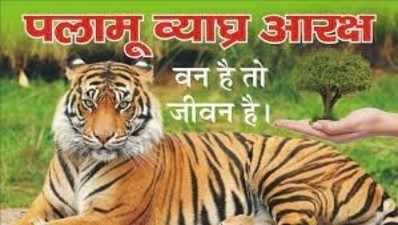 Jharkhand News : पलामू टाइगर रिजर्व में है बाघ, स्केट सैंपल  से डब्लूएलआई ने की पुष्टि... झारखंड से देश के लिए बड़ी खबर