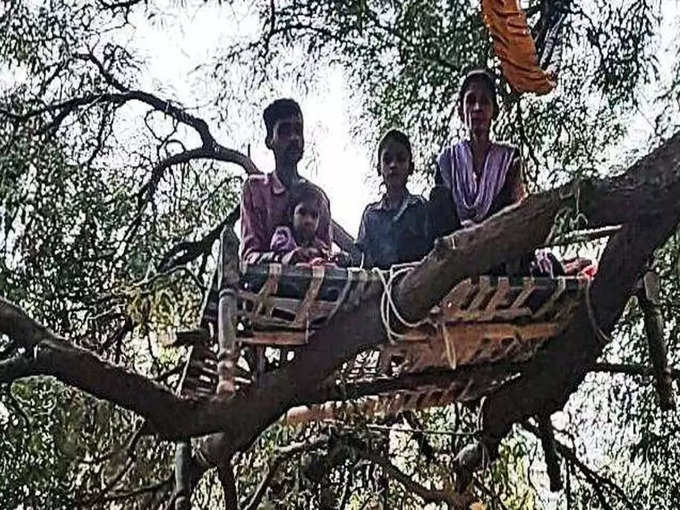 Bed on tree