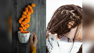 Hair Care: गेंदे के फूल में छिपा है सुंदर बालों का राज, बस इस तरीके से करें इसका इस्तेमाल