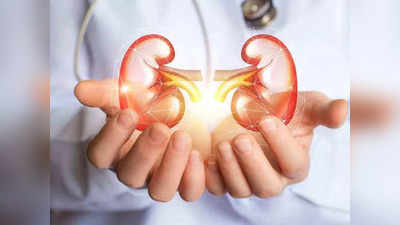 <strong>Kidney Failure symptoms : </strong>सावधान, किडनी फेल होण्याआधी शरीर देतं ‘हे’ 5 भयंकर संकेत, वेळीच ओळखा नाहीतर…! 