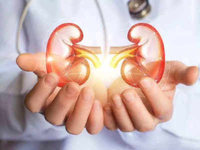 <strong>Kidney Failure symptoms : </strong>सावधान, किडनी फेल होण्याआधी शरीर देतं ‘हे’ 5 भयंकर संकेत, वेळीच ओळखा नाहीतर…! 