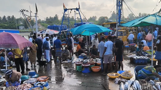 ஞாயிற்றுக் கிழமை முழு ஊரடங்கு; துறைமுகத்தில் சூடுபிடிக்கும் மீன் வியாபாரம்!