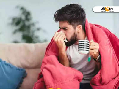 Cold Flu Home Remedies: শীতে জ্বর-কাশি, গলা ব্যথার মতো ফ্লুর উপসর্গ থেকে দ্রুত মুক্তি দেবে এই ৬ খাবার!