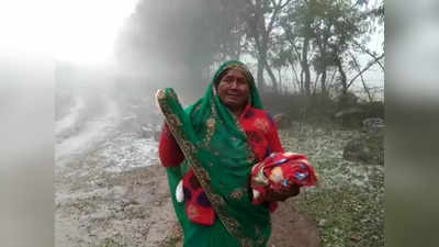 ओलों ने चूर कर दिया सपना, खेतों में बर्बादी का मंजर देख दहाड़ मारकर रोने लगी महिला किसान