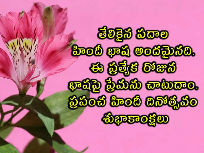 తేలికైన పదాల హిందీ భాష అందమైనది. ఈ ప్రత్యేక రోజున భాషపై ప్రేమను చాటుదాం. ప్రపంచ హిందీ దినోత్సవం శుభాకాంక్షలు