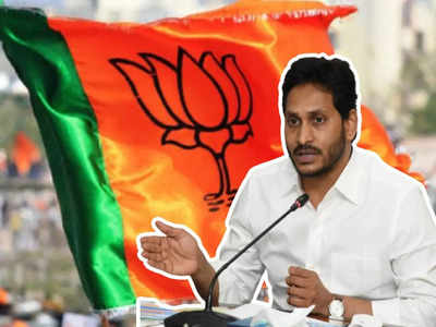 ఆత్మకూరు ఏపీలో ఉందా, పాకిస్థాన్‌లో భాగమా? బీజేపీ సీరియస్‌గా తీసుకుంటోంది.. సీఎం జగన్‌కు లేఖ