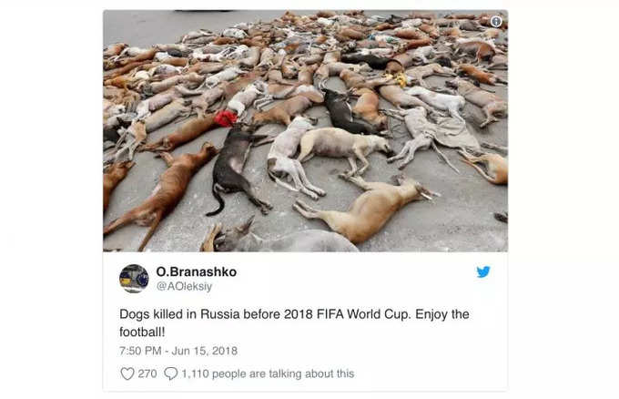 Russia killing stray dogs 2