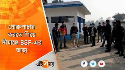 গোরুপাচার করতে গিয়ে সীমান্তে BSF-এর তাড়া