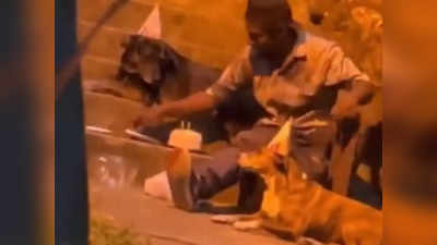 Viral Video: ಬೀದಿ ಶ್ವಾನಗಳೊಂದಿಗೆ ಬರ್ತ್‌ಡೇ ಆಚರಿಸಿದ ವ್ಯಕ್ತಿ: ಭಾವುಕರನ್ನಾಗಿಸುತ್ತದೆ ಈ ಕ್ಲಿಪ್‌ನ ಕೊನೆಯ ದೃಶ್ಯ