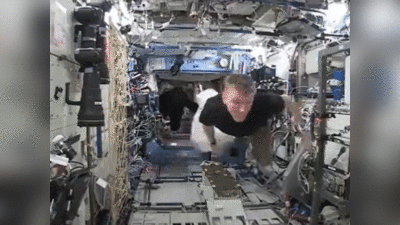 स्‍पेस स्‍टेशन में जब घुस आया था गुरिल्‍ला, दहशत में आ गए थे अंतरिक्ष यात्री, देखें वीडियो