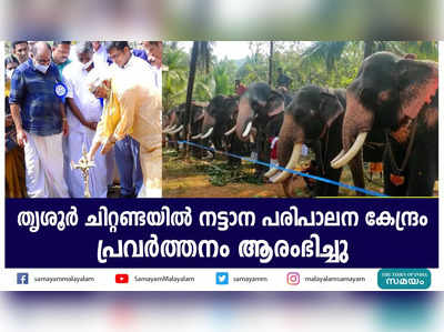 തൃശൂർ ചിറ്റണ്ടയിൽ നട്ടാന പരിപാലന കേന്ദ്രം  പ്രവർത്തനം ആരംഭിച്ചു