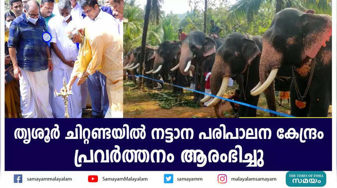 തൃശൂർ ചിറ്റണ്ടയിൽ നട്ടാന പരിപാലന കേന്ദ്രം  പ്രവർത്തനം ആരംഭിച്ചു