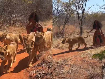 viral video: 6 ఆడ సింహాలతో ఆమె.. ఆ దృశ్యం ఆశ్చర్యం..