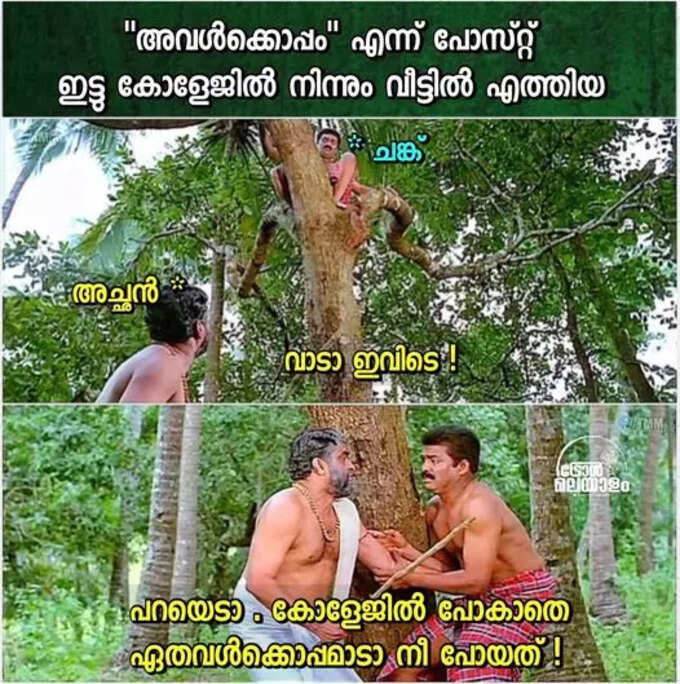 പുരോഗമനം കുറഞ്ഞു പോയോ