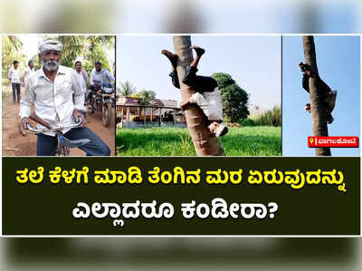 ತಲೆ ಕೆಳಗೆ ಮಾಡಿ ತೆಂಗಿನಮರ ಏರುವ ಬಾಬು ತೇರದಾಳ ಎಂಬ ವಿಸ್ಮಯ ವ್ಯಕ್ತಿ!