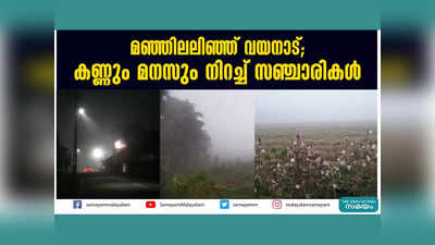 മഞ്ഞിലലിഞ്ഞ് വയനാട്; കണ്ണും മനസും നിറച്ച് സഞ്ചാരികള്‍, താപനില 13 ഡിഗ്രി വരെ താഴ്ന്നു.... വീഡിയോ കാണാം