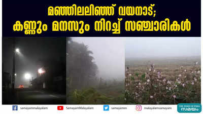 മഞ്ഞിലലിഞ്ഞ് വയനാട്;  കണ്ണും മനസും നിറച്ച് സഞ്ചാരികള്‍