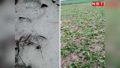 Bihar Weather News : बिहार में तेज बारिश के साथ इन तीन जिलों में पड़े ओले, फसलों को नुकसान
