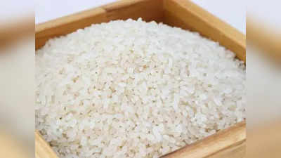 Raw ponni rice கொண்டு பொங்கல் பண்டிகையை சிறப்பாக கொண்டாடுங்கள்.