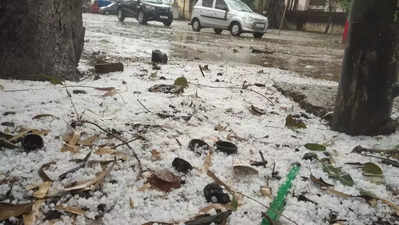 Bihar Weather Today : पटना में बारिश के बाद सुबह-सुबह धूप, फिर भी बिहार में 15 जनवरी से लुढ़केगा पारा