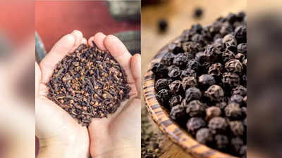 Spice for immunity: Omicron से लड़ने में शरीर का पूरा साथ देंगे ये 2 मसाले, बूस्‍ट होगी झट से Immunity