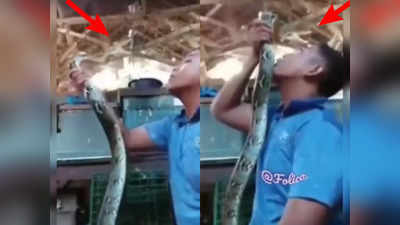 viral video: పాముతో పరాచకాలు.. తర్వాత ఏమైందో తెలుసా... 