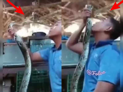 viral video: పాముతో పరాచకాలు.. తర్వాత ఏమైందో తెలుసా...