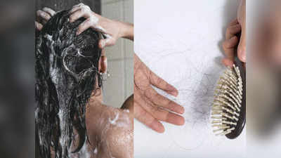 Shampoo for hair fall: क्या रोज शैंपू करने से बाल ज्यादा झड़ने लगते हैं? डॉ. रश्मि का ये है कहना