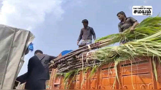 பொங்கல் பண்டிகை விற்பனை; கோவையில் டல்; வியாபாரிகள் கவலை!