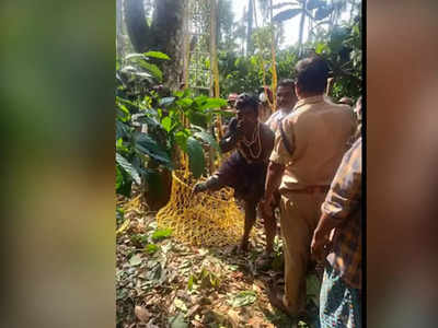 മണിക്കൂറുകൾക്കിടെ മരത്തിൽ കുടുങ്ങി 2 പേർ;  രക്ഷകരായത് ഫയർ ഫോഴ്‌സും നാട്ടുകാരും