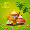 Happy Pongal Wishes