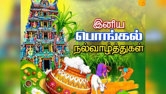 Pongal Wishes in Tamil: தைப் பொங்கல் தின நல்வாழ்த்துக்கள், வாட்ஸ் அப் ஸ்டேட்டஸ்கள்...