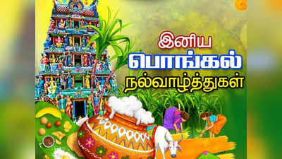 Pongal Wishes in Tamil: தைப் பொங்கல் தின நல்வாழ்த்துக்கள், வாட்ஸ் அப் ஸ்டேட்டஸ்கள்...