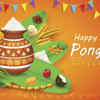 Pongal Tamil Wishes