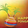 Happy Pongal