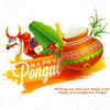 Happy Pongal Wishes