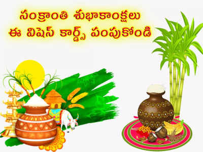 Happy Sankranti: సంక్రాంతి శుభాకాంక్షలు.. ఈ విషెస్ కార్డ్స్ పంపుకోండి