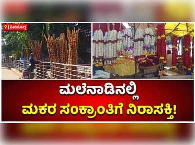 ಕೊರೊನಾ ಕಾರಣ: ಮಲೆನಾಡಿನಲ್ಲಿ ಮಕರ ಸಂಕ್ರಾಂತಿಗೆ ನಿರಾಸಕ್ತಿ!