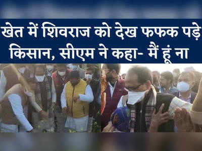 ओलों से बर्बाद फसलों का जायजा लेने खेतों में पहुंचे सीएम शिवराज, किसानों ने रो-रो कर सुनाया दुखड़ा