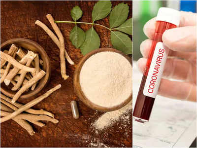 <strong>Ayurvedic treatment of Covid19 :</strong> WHO नंतर आता आयुष मंत्रालयाने कोविडसाठी दिली आयुर्वेदिक माहिती, बघा पूर्ण लिस्ट! 