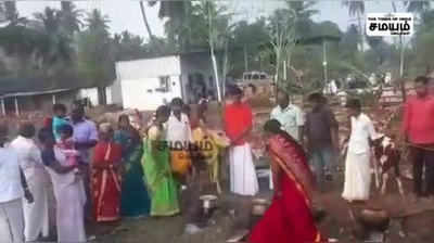 மாட்டு பொங்கல்; மாட்டுக்கு சோறூட்டி மகிழ்ந்த குடும்பத்தினர்!